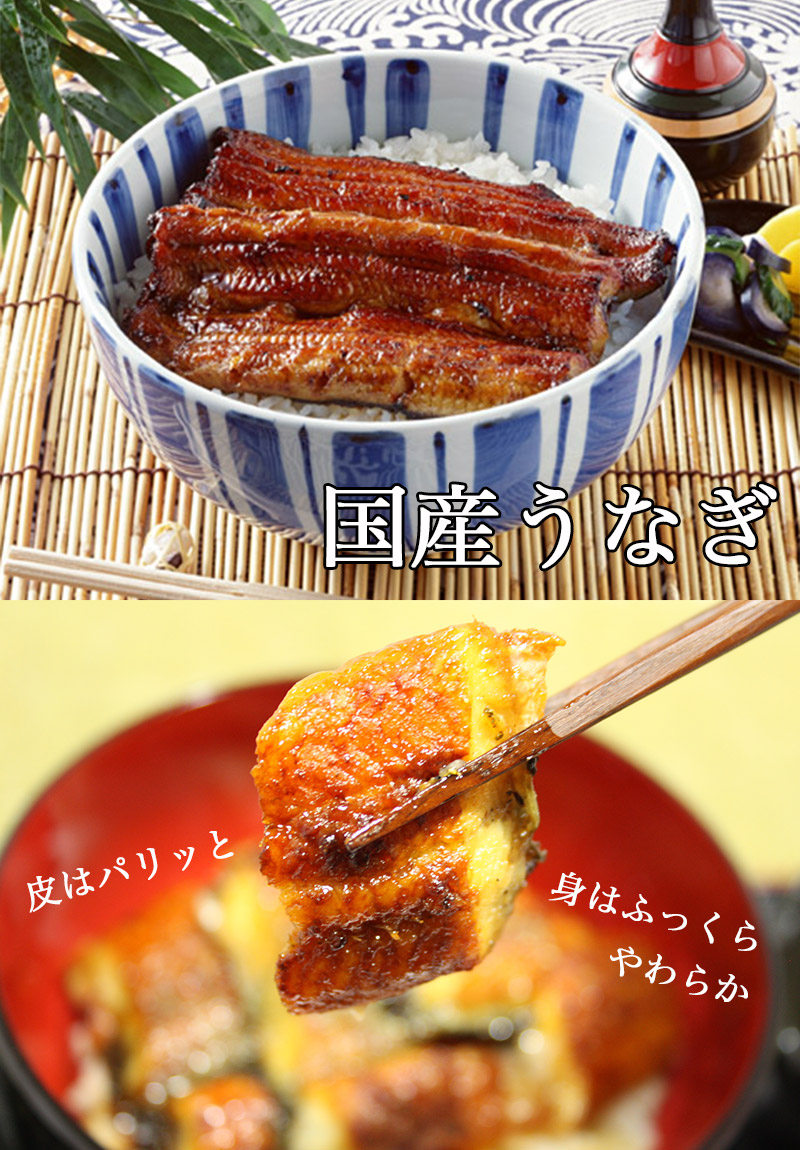 楽天ランキング1位 うなぎ 国産 鹿児島 うなぎ蒲焼き 送料無料 鹿児島県産 うなぎ蒲焼き 3尾セット 600g ウナギ 母の日 父の日 ギフト 正規品 Lexusoman Com 楽天ランキング1位 うなぎ 国産 鹿児島 うなぎ蒲焼き 送料無料 鹿児島県産 うなぎ蒲焼き 3尾セット 600g ウナギ 母の日 父の日 ギフト 正規品 Lexusoman Com