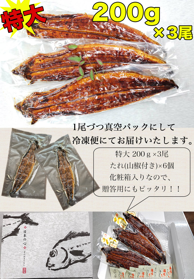 楽天ランキング1位 うなぎ 国産 鹿児島 うなぎ蒲焼き 送料無料 鹿児島県産 うなぎ蒲焼き 3尾セット 600g ウナギ 母の日 父の日 ギフト 正規品 Lexusoman Com 楽天ランキング1位 うなぎ 国産 鹿児島 うなぎ蒲焼き 送料無料 鹿児島県産 うなぎ蒲焼き 3尾セット 600g ウナギ 母の日 父の日 ギフト 正規品 Lexusoman Com