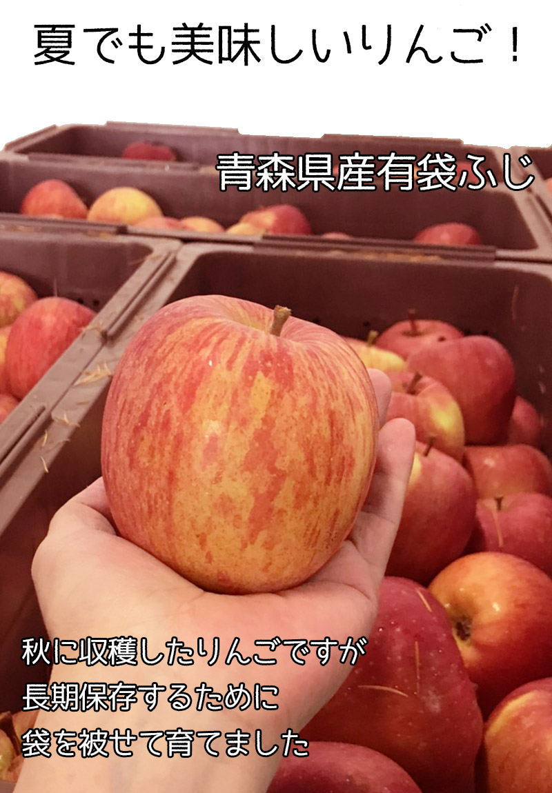 市場 りんご 有袋 訳あり 青森県産 約3kg 送料無料