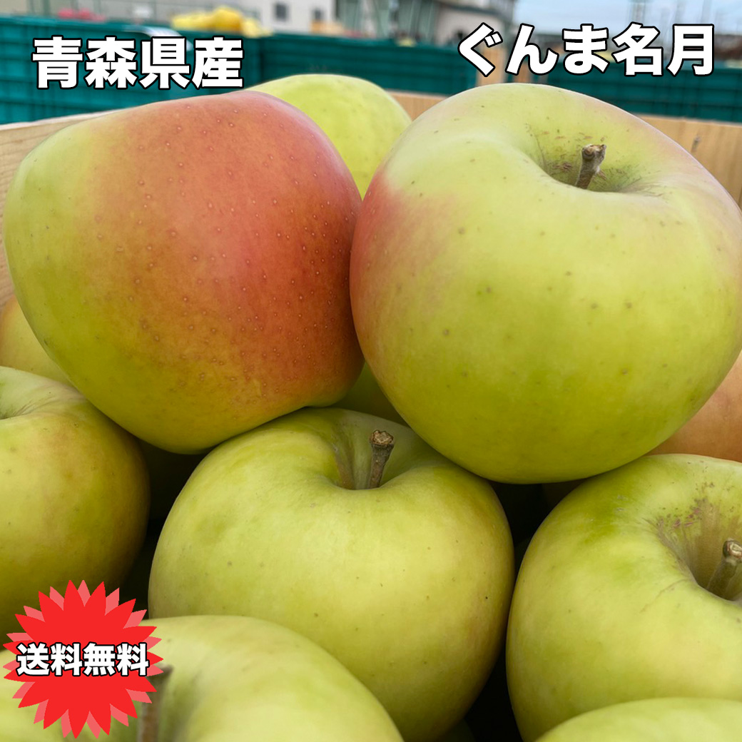 りんご 10Kg 訳あり 青森県産 ぐんま名月 10kg りんご 訳あり 青森 10kg お試し ぐんまめいげつ