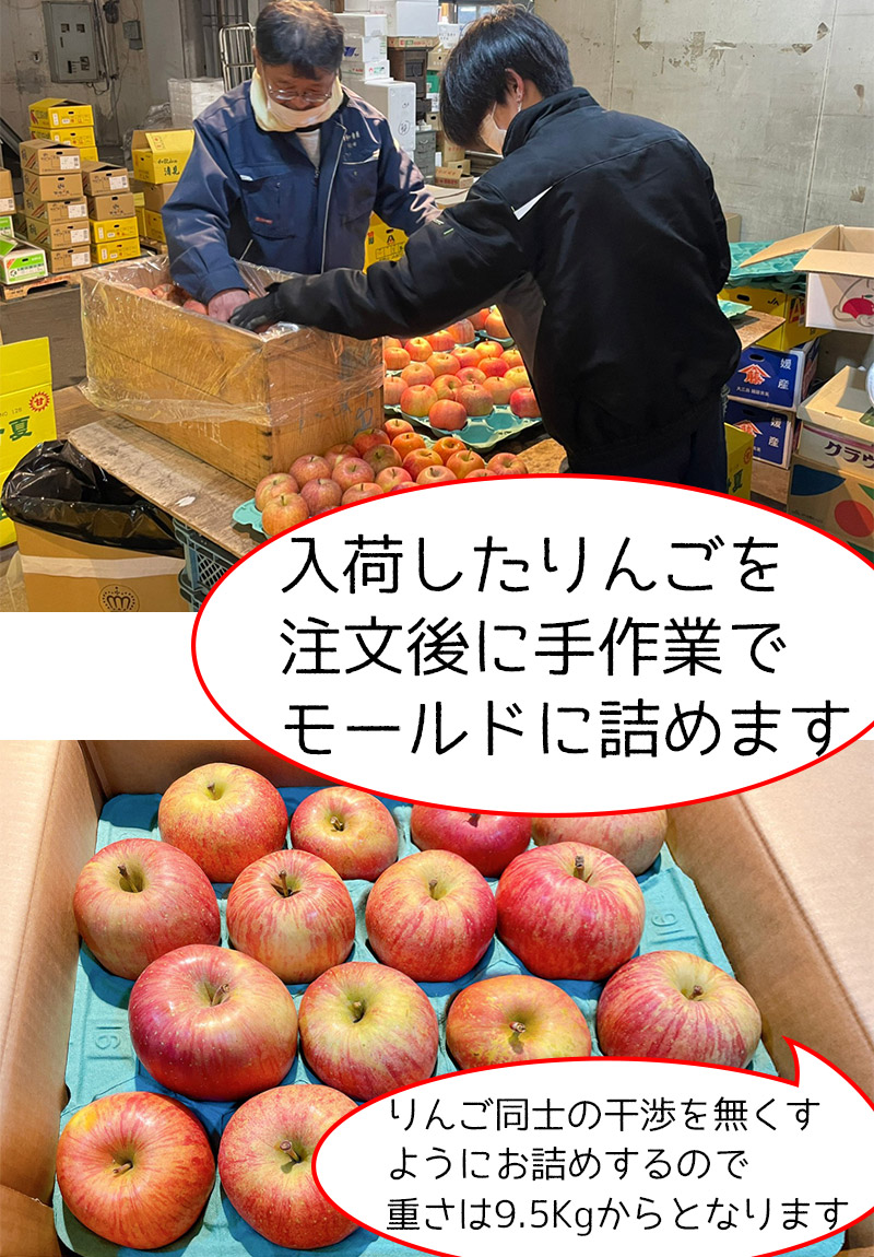 りんご サンふじ りんご 訳あり 10kg箱 送料無料 常温便 りんご 青森県 