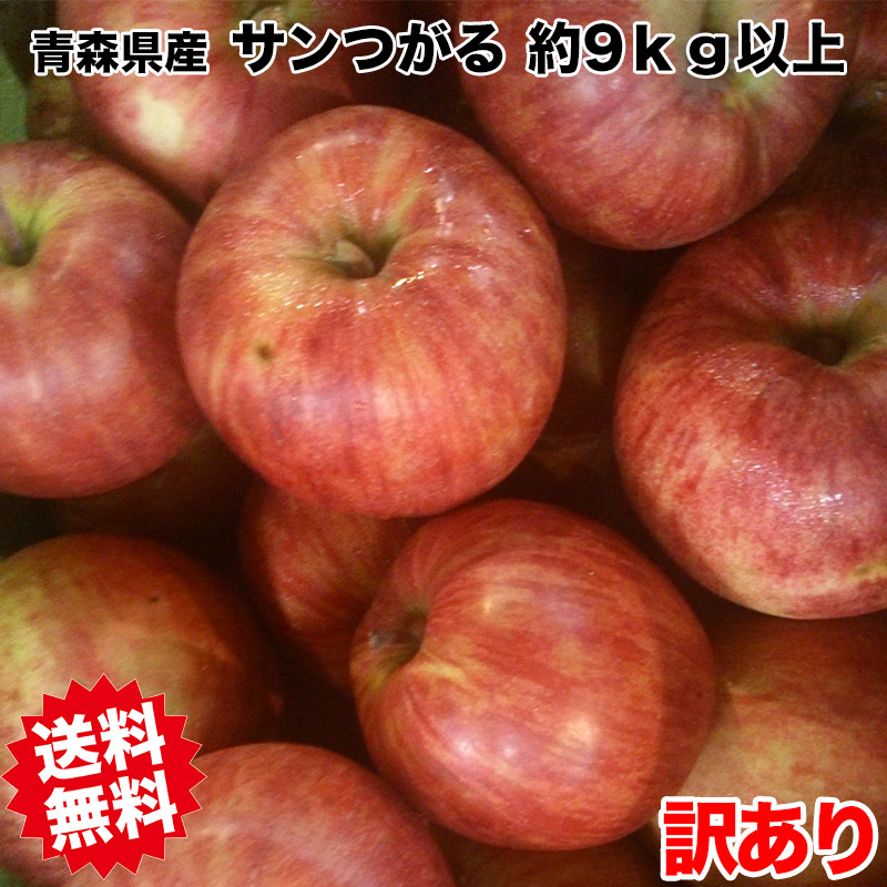 972円 経典ブランド 大感謝祭セール りんご 訳あり 10kg箱 青森県産 サンつがる 9kg以上 サイズいろいろ 送料無料 ご家庭用 10Kg箱  青森