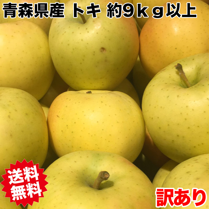 楽天市場】りんご 5Kg 訳あり 青森県産ぐんま名月 5kg りんご 訳あり 青森 5kg お試し ぐんまめいげつ【予約 10月下旬より発送開始】 :  大和屋 旬果庵