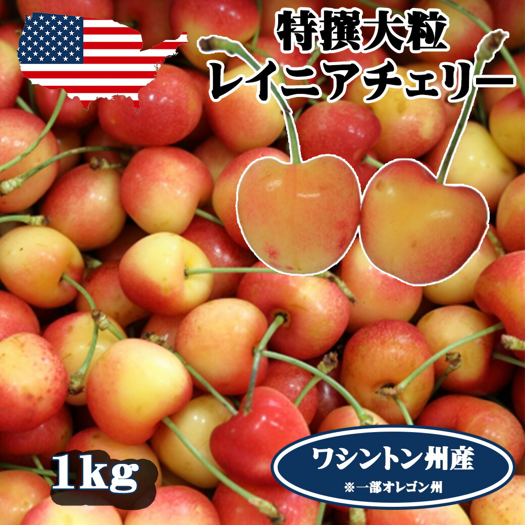 予約 アメリカンチェリー レイニアチェリー ワシントン州産 大粒 1kg  高級アメリカンチェリー レイニア 【6月20日～8月9日の出荷予定】 00013KD
