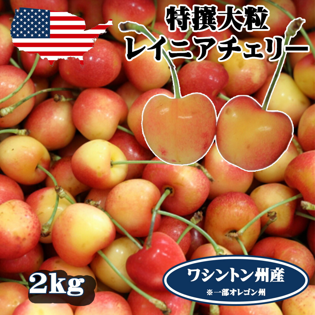 予約 アメリカンチェリー レイニアチェリー ワシントン州産 大粒 2kg  高級アメリカンチェリー レイニア 【6月20日～8月9日の出荷予定】 00015KD