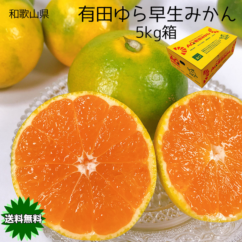 楽天市場】みかん 小玉 送料無料 10Kg 有田みかん 和歌山県 有田 ゆら