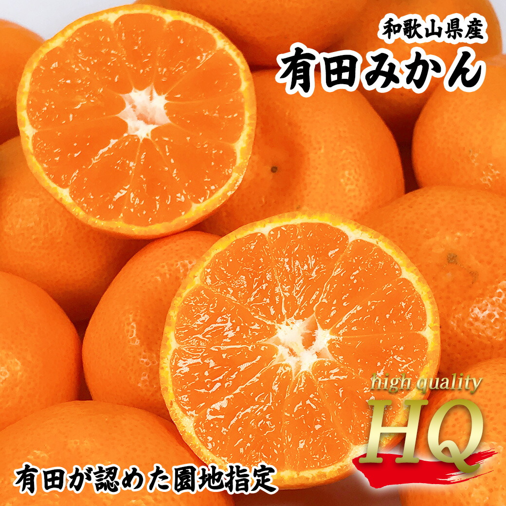 みかんさん専用 中生みかん 5.5kg｜クエン酸たっぷりで健康・美容サポート