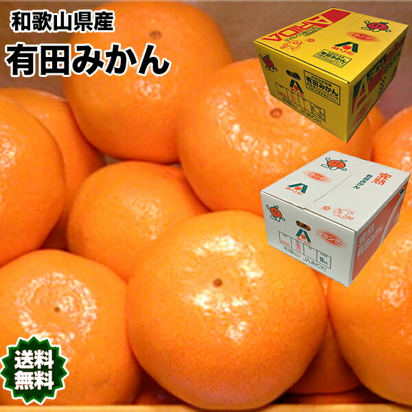 【楽天市場】みかん 送料無料 有田 10Kg 和歌山県産 有田 みかん 赤