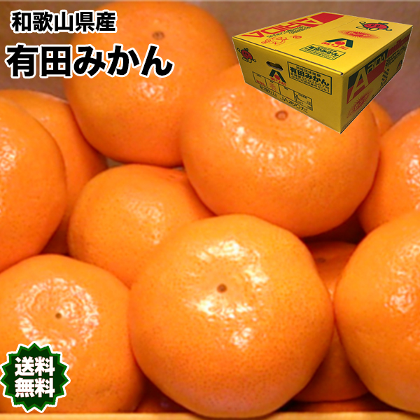 【楽天市場】みかん 送料無料 有田 10Kg 和歌山県産 有田 みかん 赤