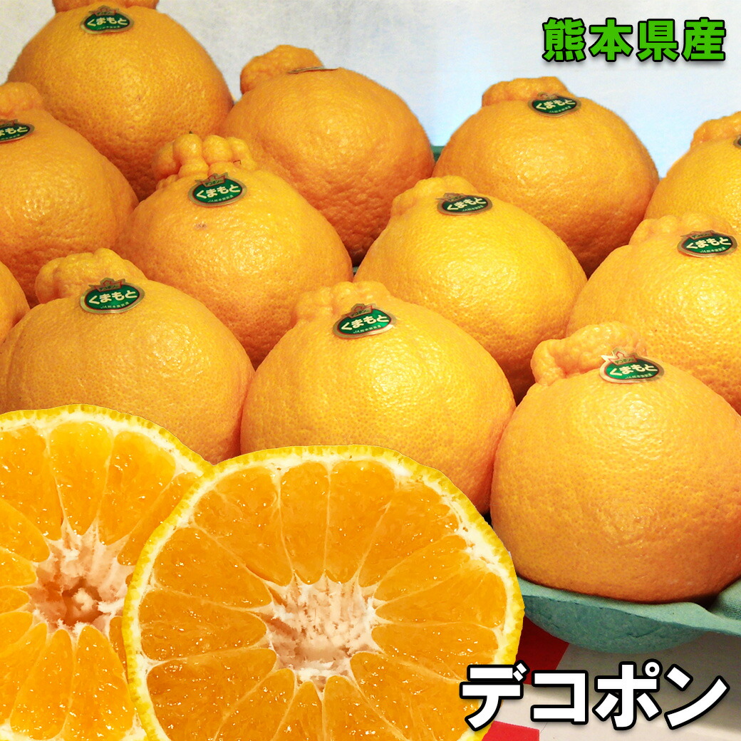 デコポン みかん 5kg ご家庭用 送料無料 本家 熊本県産 デコポン  5kg 11～24個入 傷有り ご家庭用