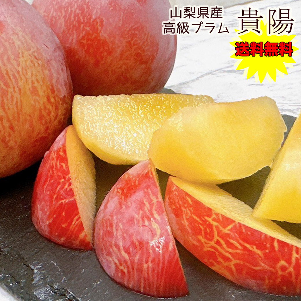 楽天市場】福岡県産 プラム （すもも） 貴陽 秀品 3Lサイズ 2玉