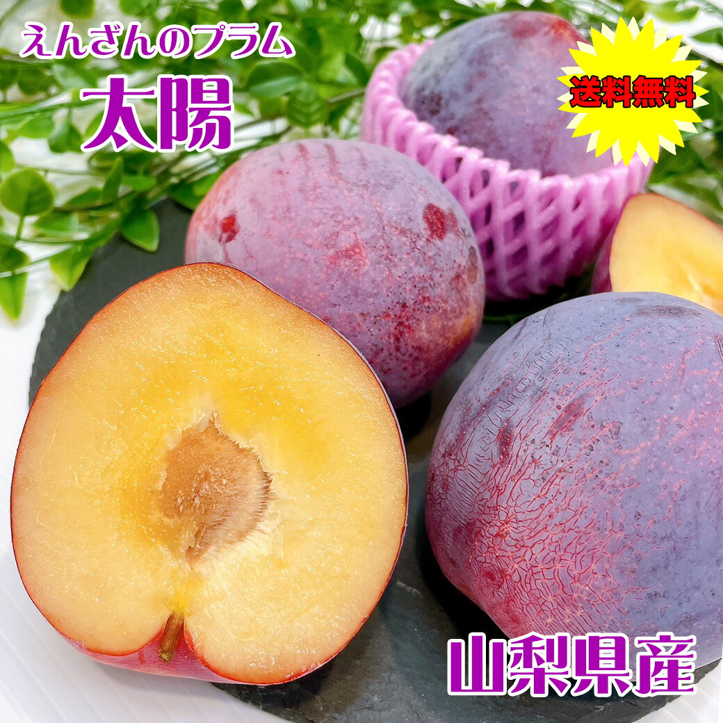 【楽天市場】すもも プラム 太陽 たいよう 山梨県産 太陽 1箱 7-9玉入 ギフト プレゼント 贈答用 大玉すもも 高級プラム 希少品種 ...