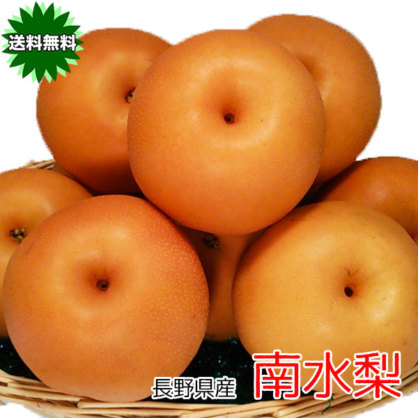 楽天市場】梨 送料無料 10kg 鳥取県産 新興 梨 秀品 10kg 16〜36玉 梨 なし 10Kg ギフト 送料無料 お試し : 大和屋 旬果庵