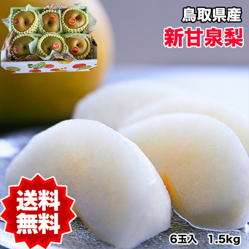 最大83％オフ！ 鳥取県産 梨 訳あり 新甘泉梨 約5kg 6〜20玉 糖度14度前後 ご家庭用遅れてごめんね敬老の日 家庭用 ギフト 送料無料  予約9月中旬から出荷 常温便