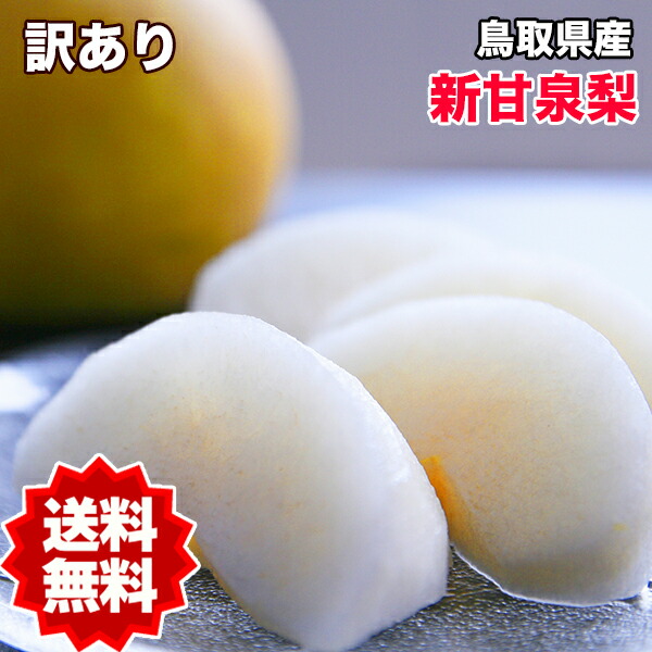 梨 送料無料 10kg 訳あり 鳥取県産 新甘泉梨 10kg 12～40玉入 ご家庭用  訳あり 梨 新甘泉 鳥取 なし ナシ 敬老の日