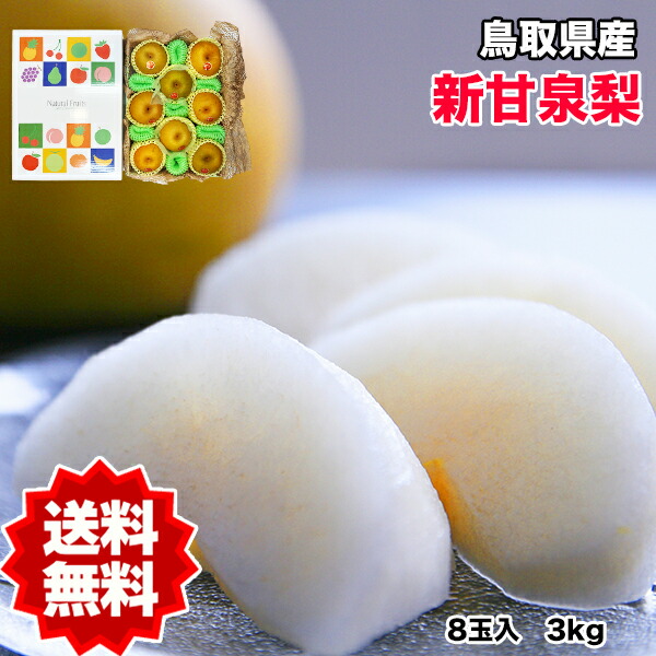 梨 新甘泉 送料無料 8玉入 鳥取県産 新甘泉梨 秀品  化粧箱入り 8玉入 梨 新甘泉 鳥取 なし ナシ  ギフト 贈答用 敬老の日 ギフト