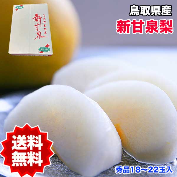 梨 送料無料 5kg 鳥取県産 新甘泉梨 秀品 5kg 18～22玉入  梨 新甘泉 鳥取 なし ナシ ギフト 贈答用 敬老の日 ギフト