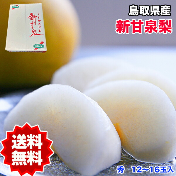 梨 5kg 送料無料 新甘泉梨 鳥取県産 新甘泉梨 秀品 5kg 12～16玉入  梨 新甘泉 鳥取 なし ナシ ギフト 贈答用 敬老の日 ギフト