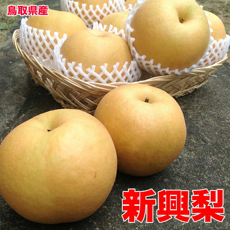 梨 送料無料 5kg 鳥取県産 新興 梨 秀品 5kg 14〜18玉 贈答用 梨 なし 5Kg ギフト 送料無料