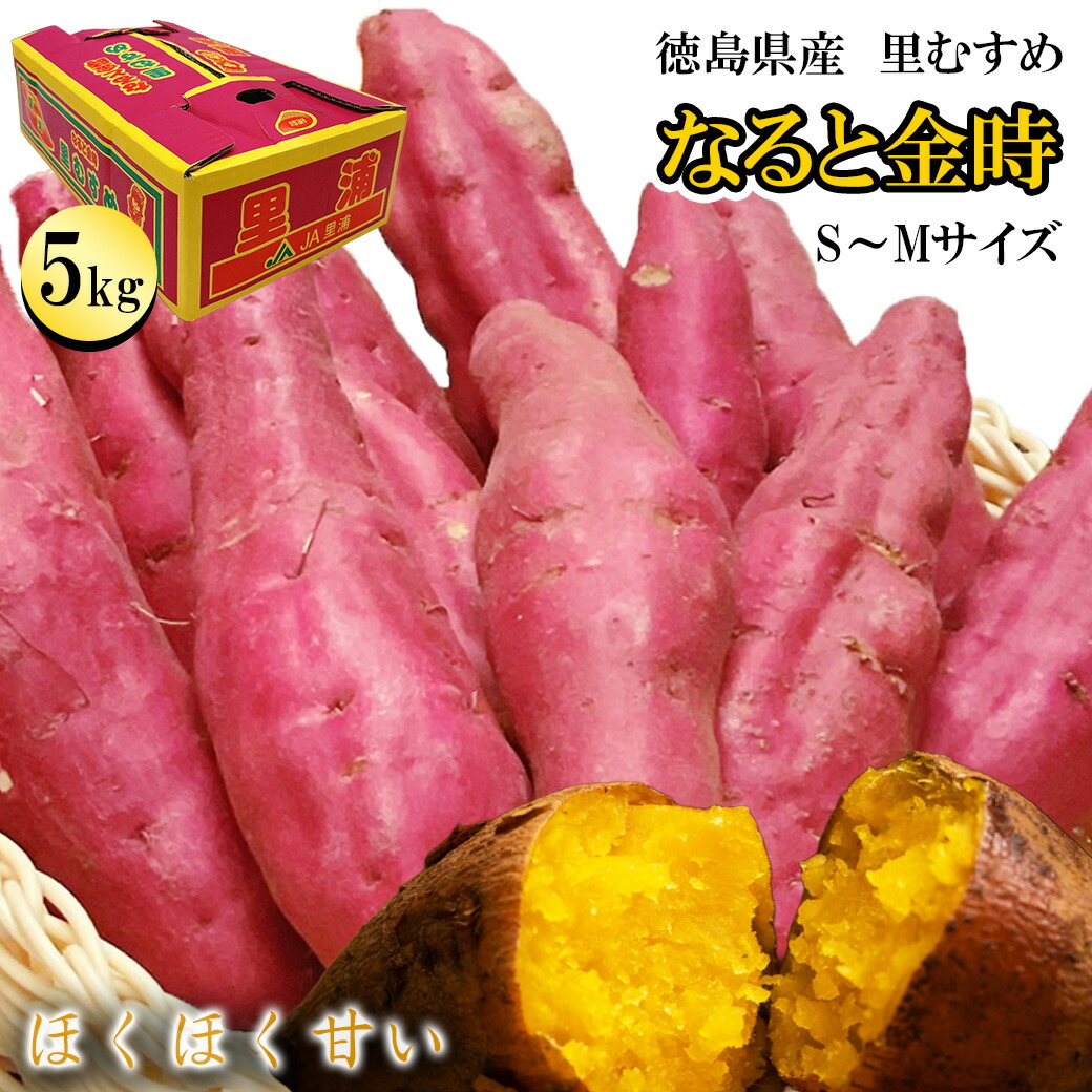 楽天市場】さつまいも 5kg 中-大サイズ 送料無料 なると金時 徳島県産