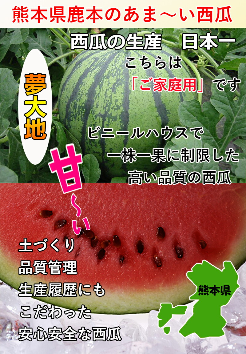 熊本県産夢大地西瓜光センサー糖度保証
