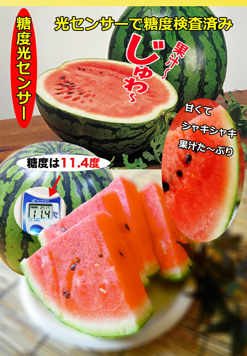 熊本県産夢大地西瓜光センサー糖度保証
