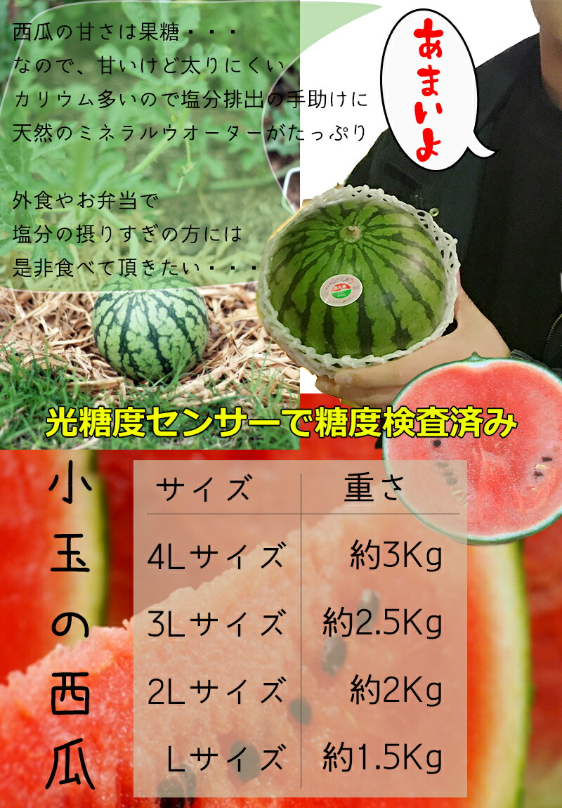 すいか スイカ 熊本 要望グランド ひとりじめ 西瓜 3l大きさ 3睾丸入 7 5kg 可視放射糖度ディテクター考究済 糖度安全 貨物輸送無料 小玉西瓜 お中元 音物 Cannes Encheres Com