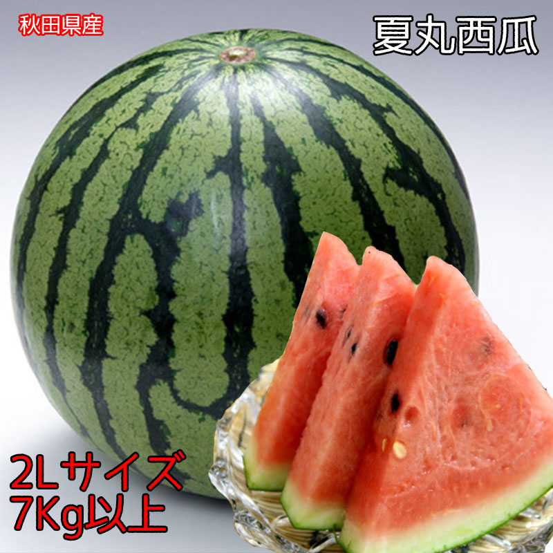 スイカ様　京都山城産　朝掘り筍3kg関東クール便 季節限定 京都府舞鶴産 たけのこ 3kg クール便 | 野菜/たけのこ