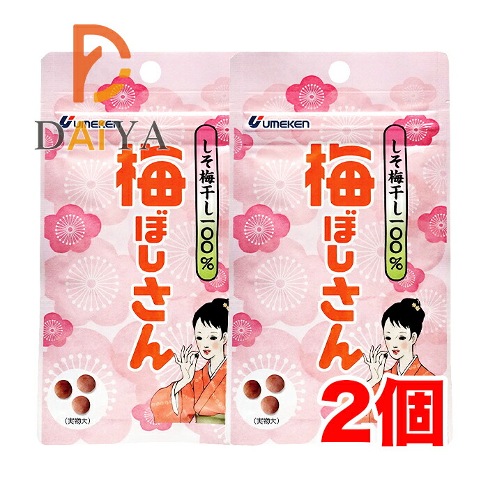 しそさま専用 渋扇（しぶせん）｜紳士用柿渋染め扇子（8寸）2022・3種｜一