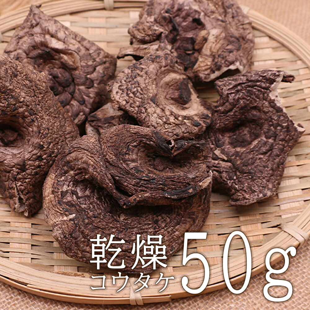 香茸 南信州産