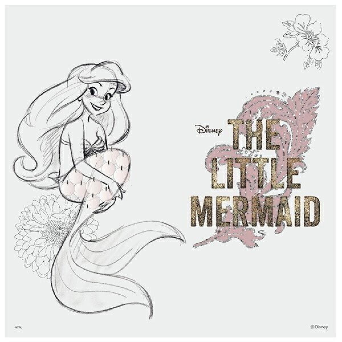 市場 アサヒペン 92cm 1cm ふすま紙2枚組用 ふすま紙 ディズニープリンセス アリエル