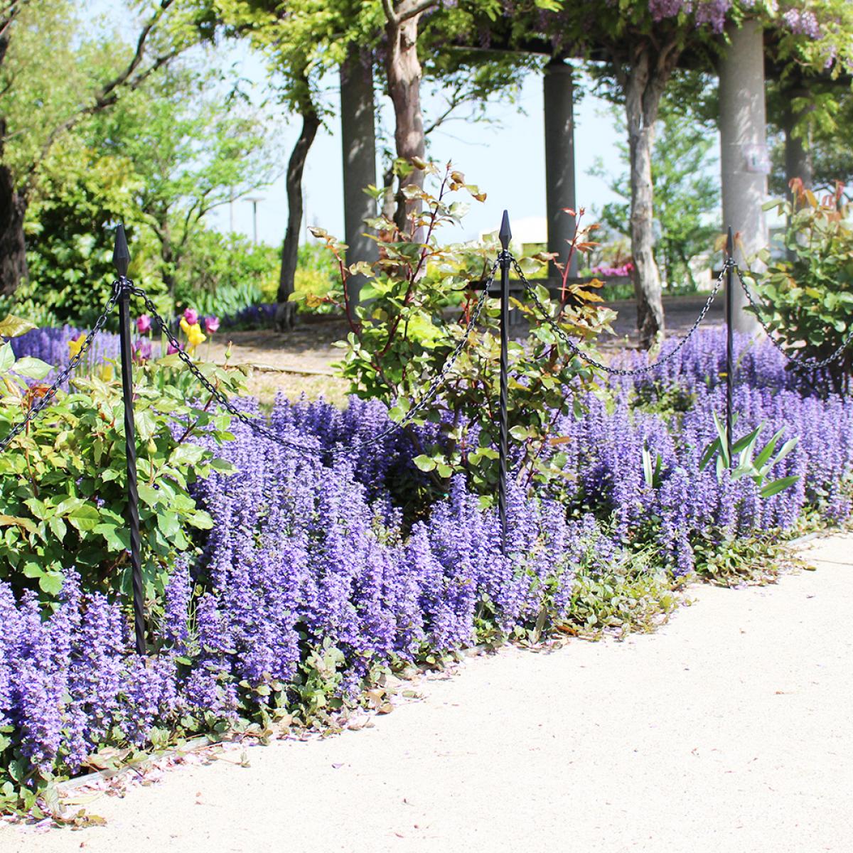 楽天市場】ガーデンチェーンポール 高さ85cm ブラック H-85 RCP 園芸