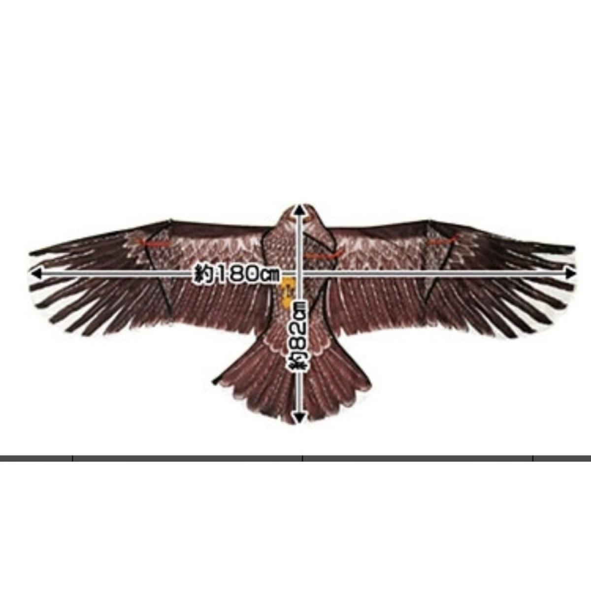 鷹 ejoy_4989586231304.jpg