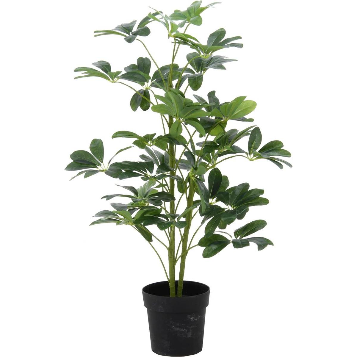 最強送りとどけるですぐ届く除草剤！