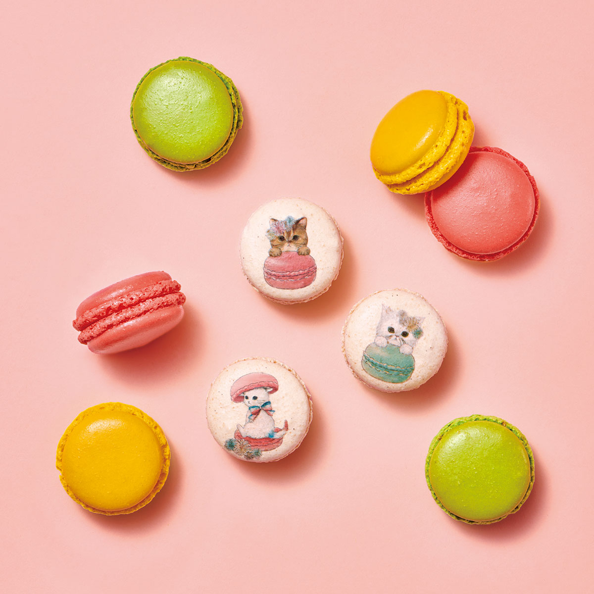 ポール ＆ ジョー × ダロワイヨ ニャカロンミャオ詰め合わせ（6個入）ねこ ネコ ギフト 洋菓子 焼き菓子 スイーツ プリント マカロン プレゼント ギフト 贈り物 かわいい 退職 お取り寄せ 差し入れ 手土産 人気 有名 ブランド コラボ バレンタイン ホワイトデー 猫の日のご紹介