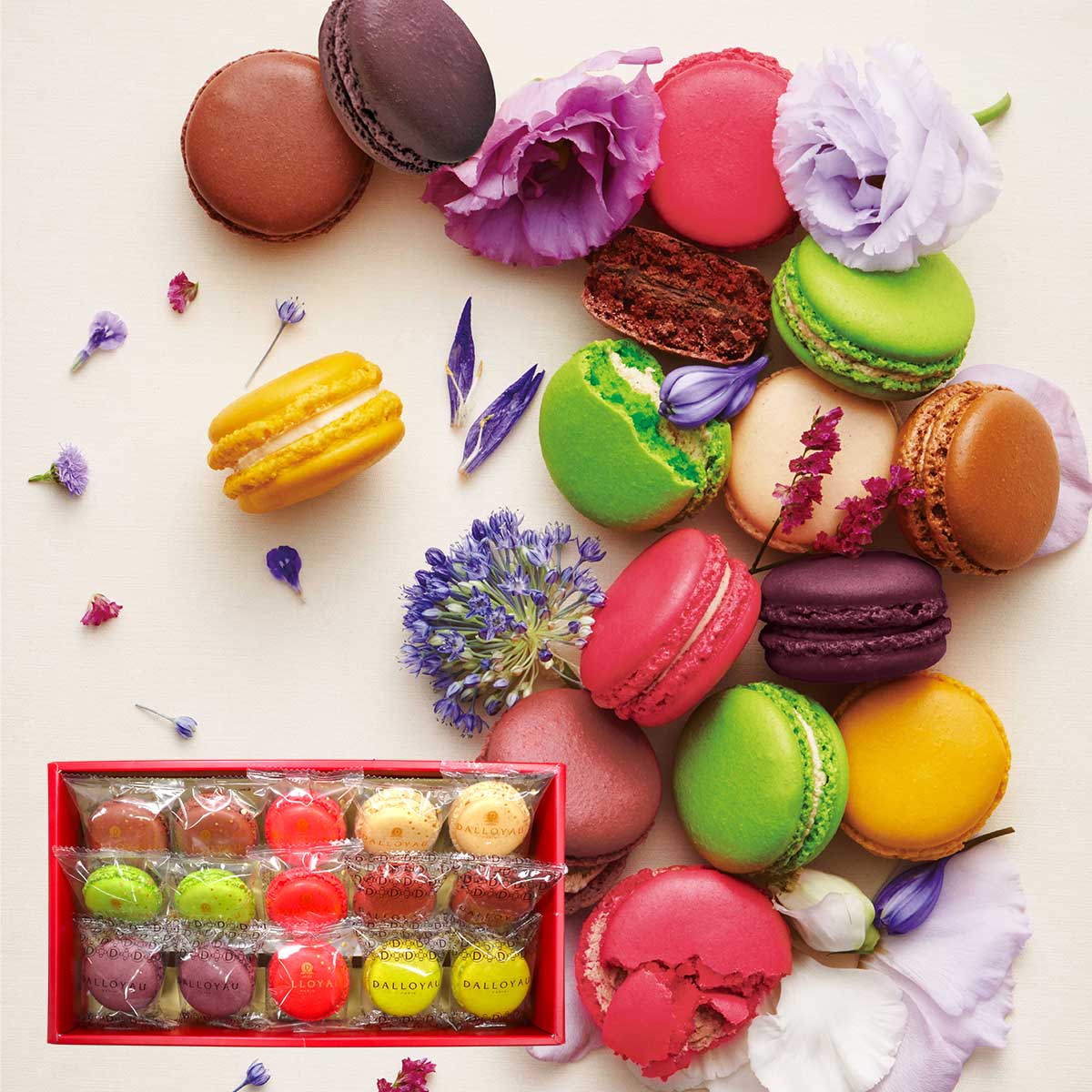 楽天市場】ダロワイヨ 季節のマカロン入り詰め合わせ（8個入）お歳暮