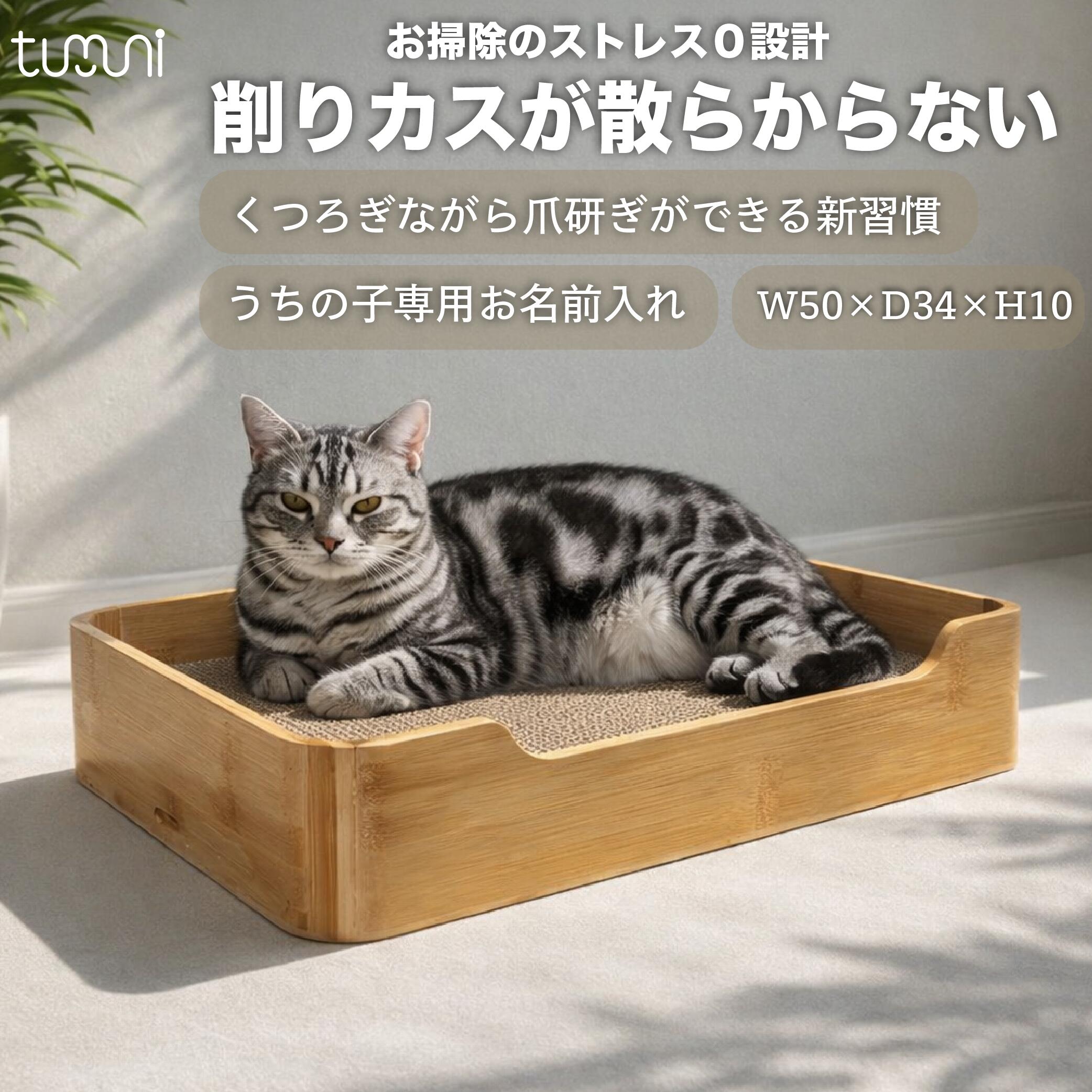 取り引き先からいただく生あたたかいお声をきっかけに、毛の荒物防御すること自然過程への献ずるを始めました
