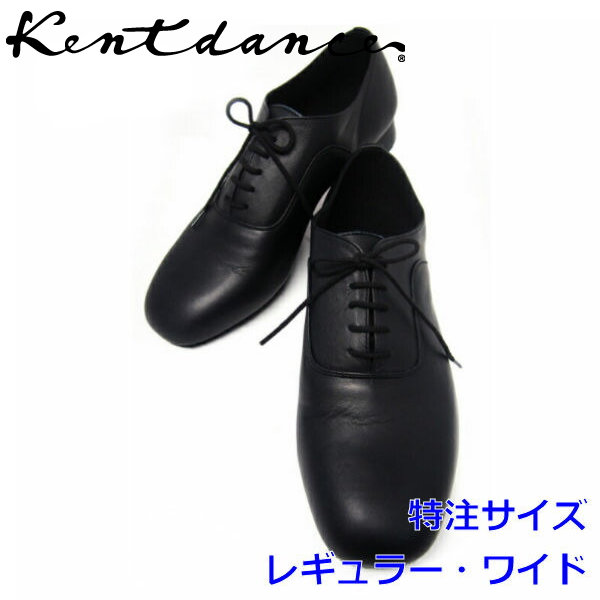 買い物 Kent Dance ケントダンス メンズ シューズ ナンバーワン レザー