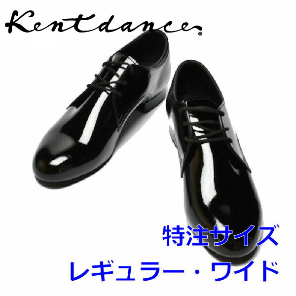 楽天市場】【人気】Kent Dance ケントダンス メンズ ラテン シューズ