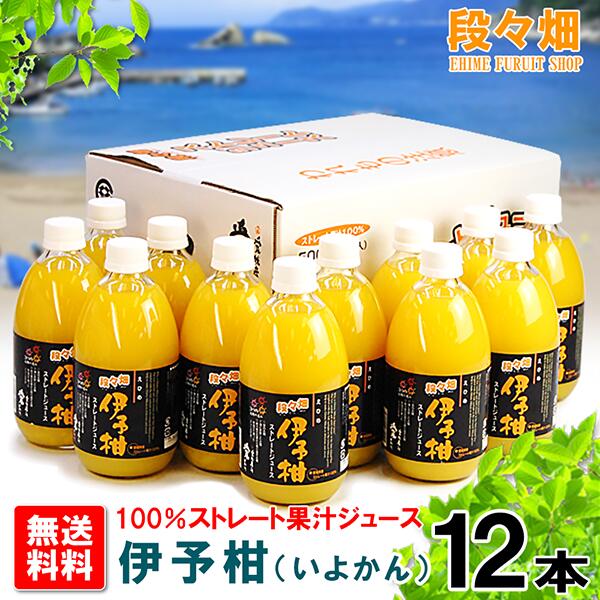 楽天市場】『えひめ100 みかんいよかん混合 1,000ml×6本』【春夏
