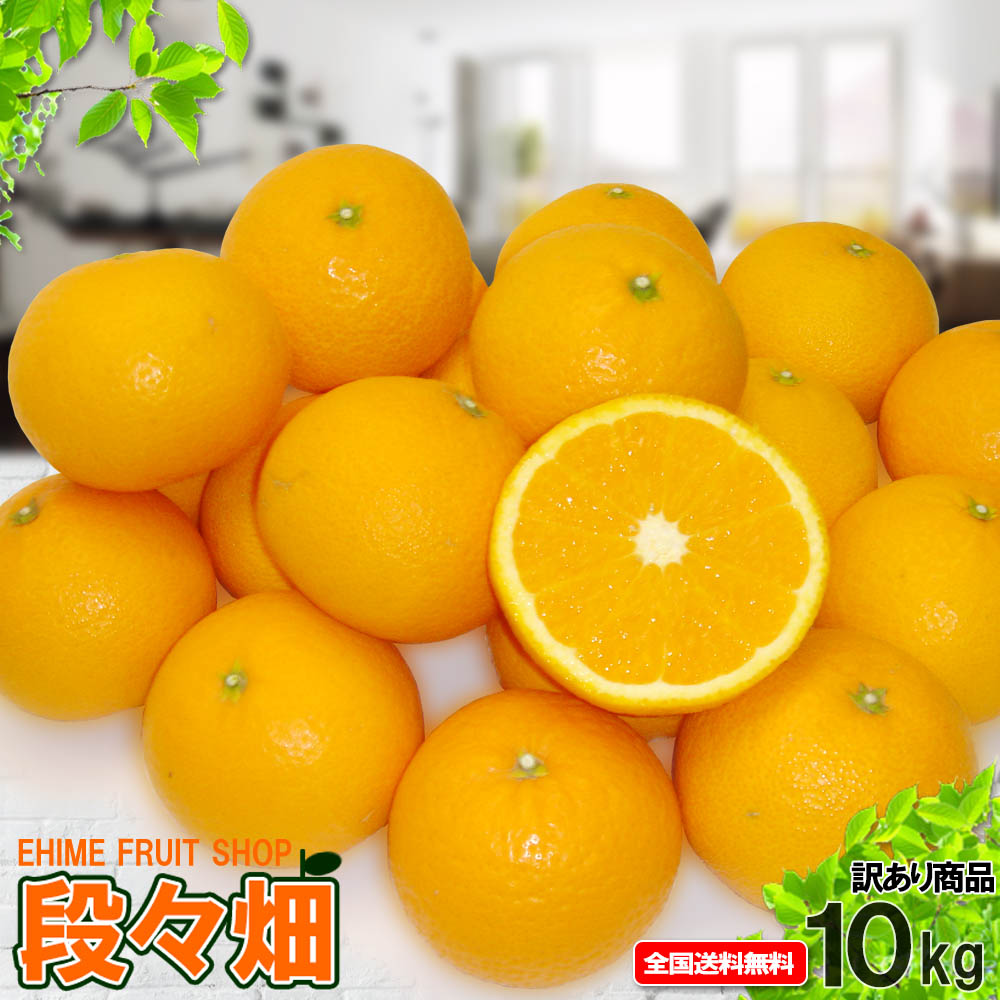 【送料無料】愛媛県産 清見 自然の恵み 10kg (訳あり/傷あり/不揃い)/みかん/蜜柑/オレンジ/柑橘/果物/フルーツ/お取り寄せ/グルメ/産地応援