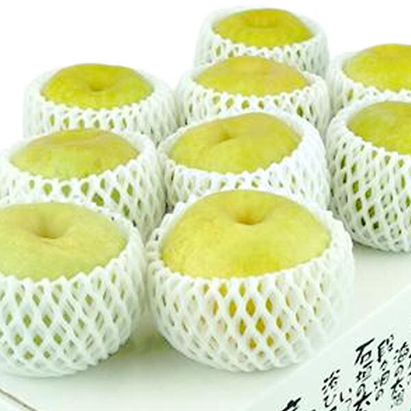 愛媛県産 幸水梨 大玉 ギフト用10kg 果物 愛媛県産 幸水梨 大玉 ギフト用10kg 果物