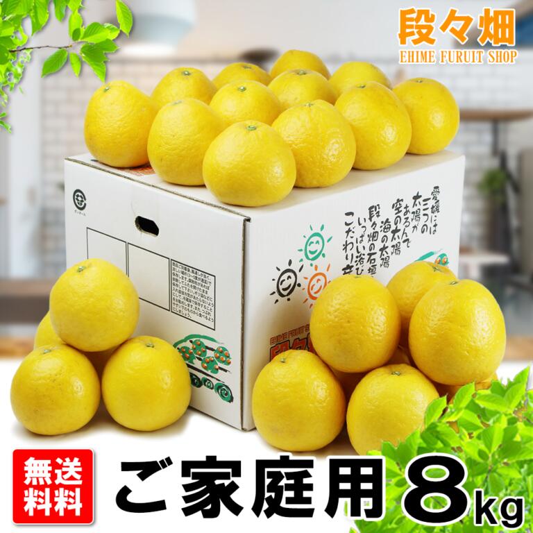 【送料無料】愛媛産　ブラッドオレンジ　モロ　中～小玉　約4ｋｇ 送料無料】 愛媛産 ブラッドオレンジ モロ 中～小玉 約8kg