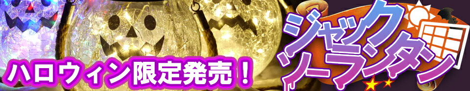 楽天市場】楽器 TONGLING 4/4 バイオリンケース オックスフォードブラック 湿度計付き : ラジコン と おもちゃ の やなぎや