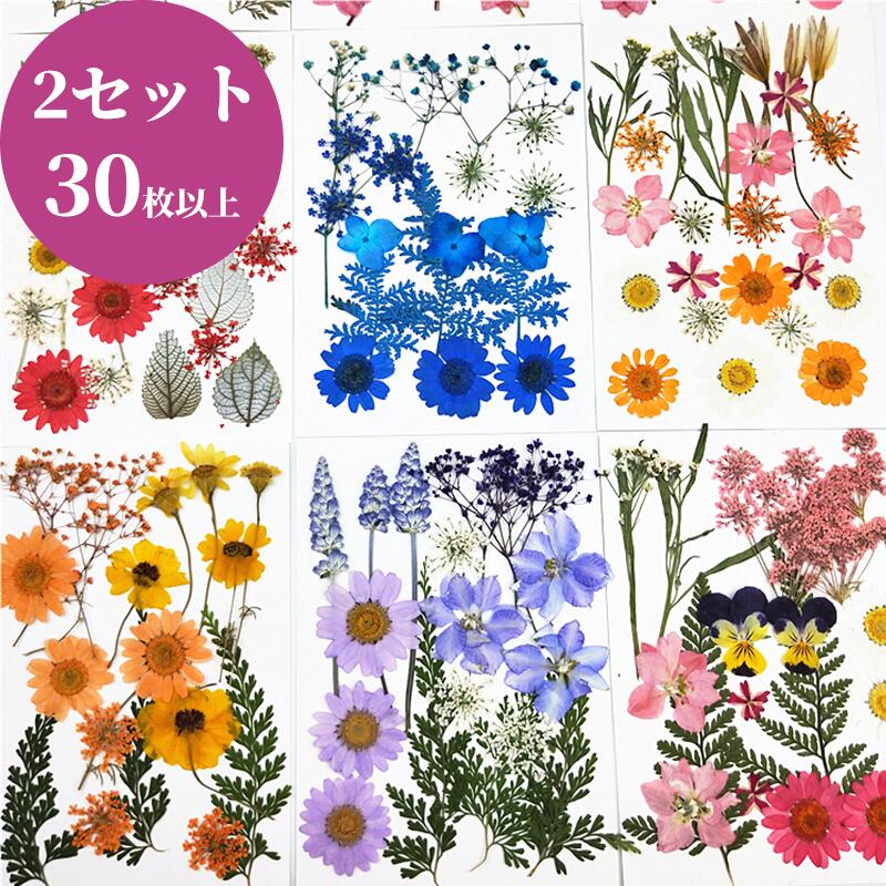 押し花 DIY 乾燥シート ドライフラワー 手芸 キット ブリザードフラワー バーミックス セット ドライ葉 乾燥花 化粧 カード造り DIY用 ブリザードフラワー ブルーミックス 天然 母の日 クリスマス プレゼント ギフト 誕生日 記念日 敬老の日 出産祝い 結婚式