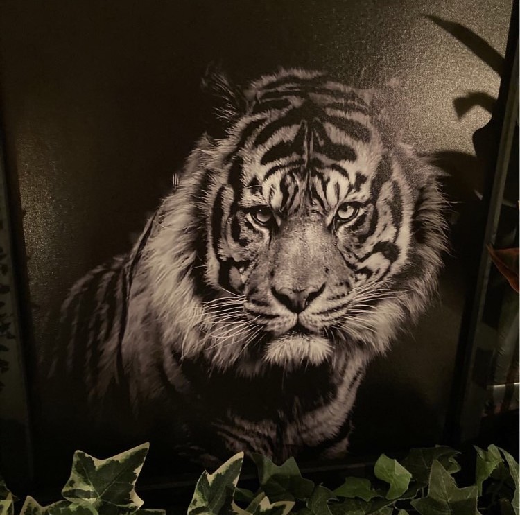 男前インテリア!! ｢虎 TIGER｣!! キャンバス製 アートパネル(額付き)!! 男前インテリア アメリカンビンテージ アートパネル インダストリアル NEWYORK バスロールサイン TIGER 虎 ブルックリンインテリア アートパネル フォトアート 店舗什器 店舗展示品 DandyLifeSpace