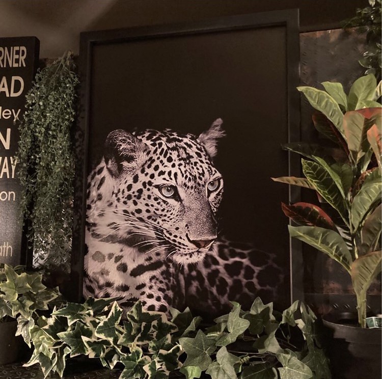 男前インテリア!! ｢豹 LEOPARD｣Ver.2!! キャンバス製 アートパネル!! 男前インテリア アメリカンビンテージ インダストリアル NEWYORK ヒョウ 豹 アートパネル ブルックリンインテリア レパード フォトアート店舗什器 店舗展示品 industrial DandyLifeSpace