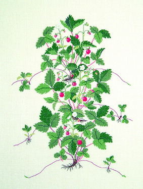 値引きする フレメ クロスステッチ 刺繍キット 野いちご 野の花 デンマーク 輸入ししゅうキット ダーニッシュエンブロイダリー 好評 Belbev Asia