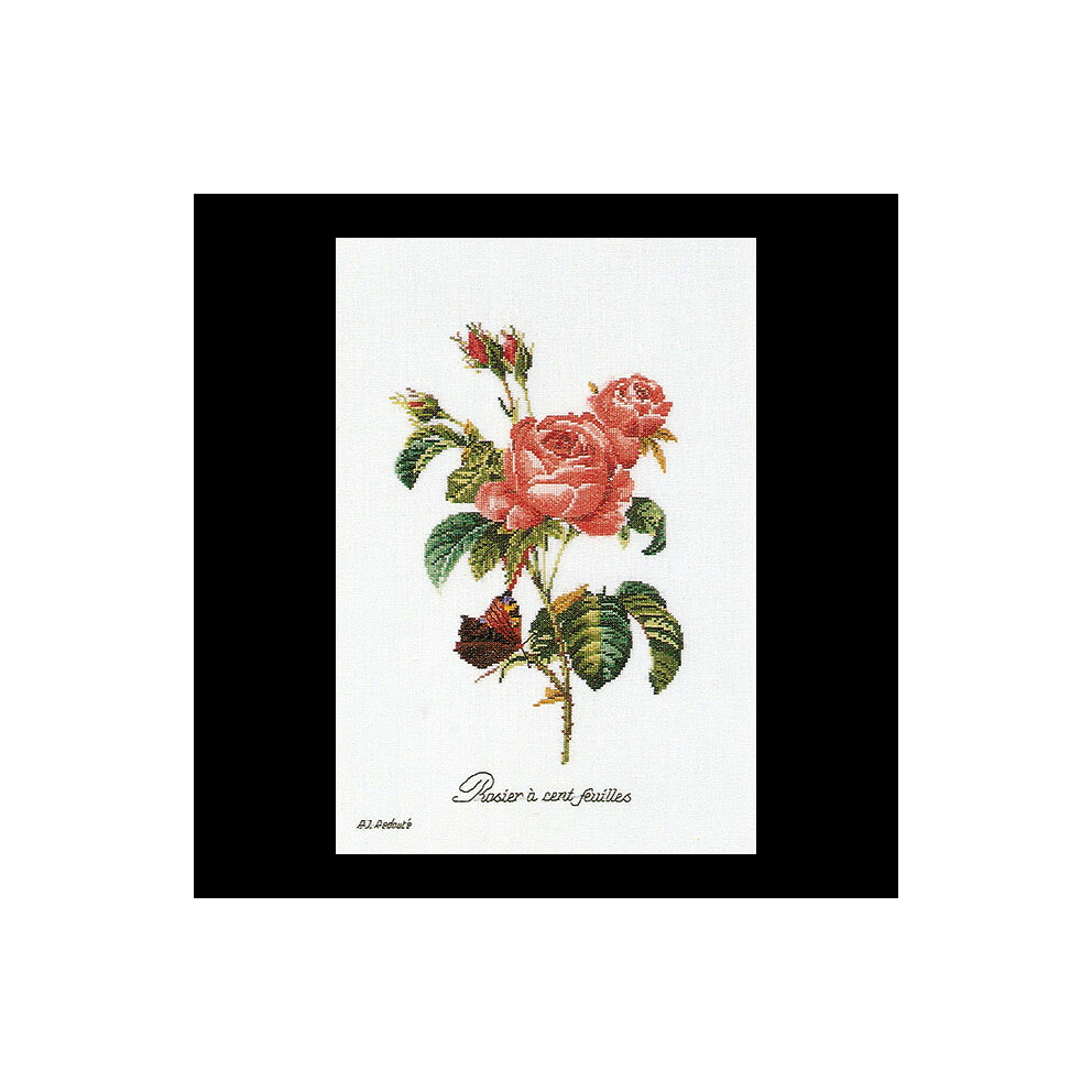 テア　グーベルヌール　クロスステッチ刺繍キット 【Rose Redoute´ 】中級者ー上級者向き ☆お取り寄せキット（納期は30-90日程度）