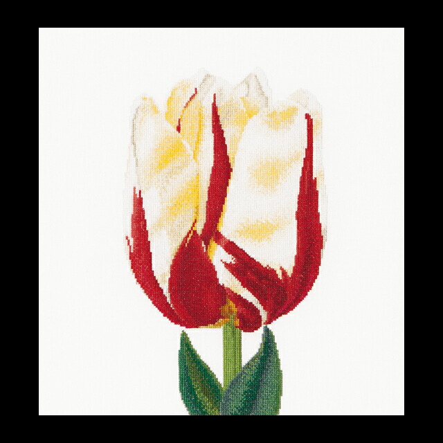 テア　グーベルヌール　クロスステッチ刺繍キット 【Flamed Single late tulip】中級者ー上級者向き ☆お取り寄せキット（納期は30-90日程度）